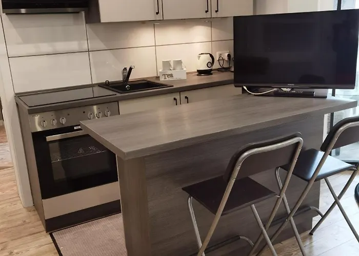 Apartment Alte Bank